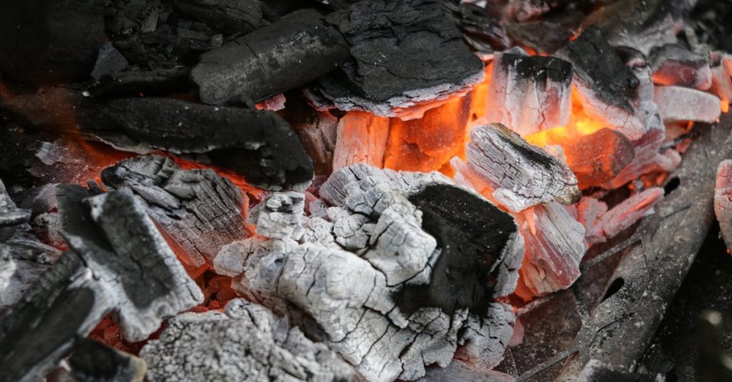 découvrez les multiples usages des cendres de bois, un produit naturel et écologique aux propriétés bénéfique pour le jardin, la maison et même la santé. apprenez à les utiliser efficacement et à valoriser ce sous-produit du chauffage au bois.