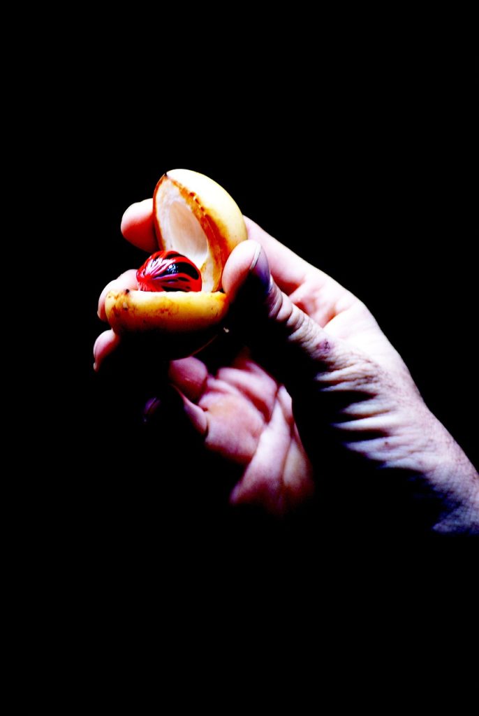 découvrez les aphrodisiaques, ces substances naturelles ou alimentaires qui stimulent le désir et intensifient les sensations. explorez comment intégrer ces trésors de la nature dans votre quotidien pour raviver la passion et améliorer votre bien-être. plongez dans l'univers des aphrodisiaques et transformez vos moments intimes.