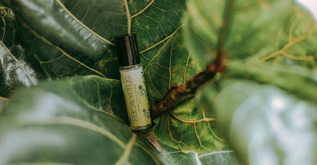 découvrez les bienfaits de l'eucalyptus, une plante aux vertus exceptionnelles pour la santé et le bien-être. explorez ses utilisations variées en phytothérapie, son parfum apaisant et ses propriétés anti-inflammatoires.