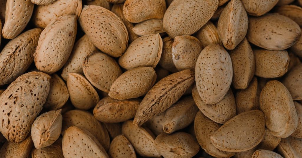 découvrez tout ce qu'il faut savoir sur le cholestérol : types, causes, effets sur la santé et conseils pour maintenir un taux équilibé. informez-vous pour mieux prendre soin de votre cœur!