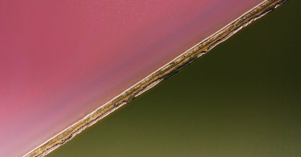 découvrez des conseils et astuces efficaces pour traiter et prévenir les pointes fourchues. apprenez à prendre soin de vos cheveux pour les garder sains et éclatants.