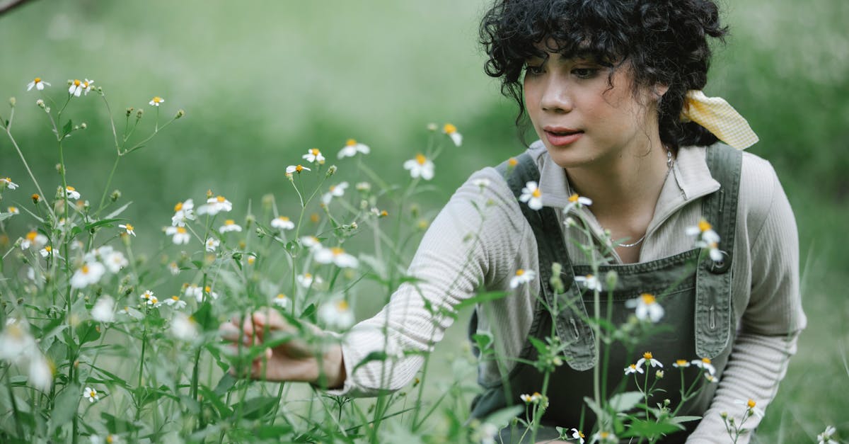 découvrez notre gamme de soins capillaires parfumés, conçue pour nourrir vos cheveux tout en les enveloppant d'une délicate fragrance. offrez à votre chevelure une expérience sensorielle unique qui allie douceur, brillance et un parfum irrésistible.