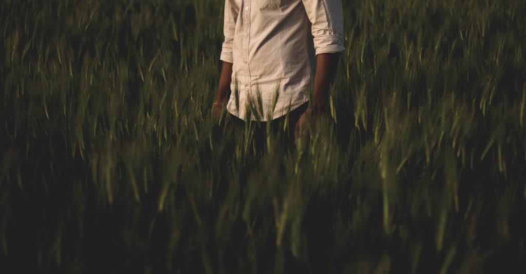 découvrez les plantes qui améliorent votre humeur : des options vertes et apaisantes pour transformer votre espace en un havre de sérénité. apprenez comment ces végétaux peuvent stimuler votre bien-être et apporter une touche de joie à votre quotidien.