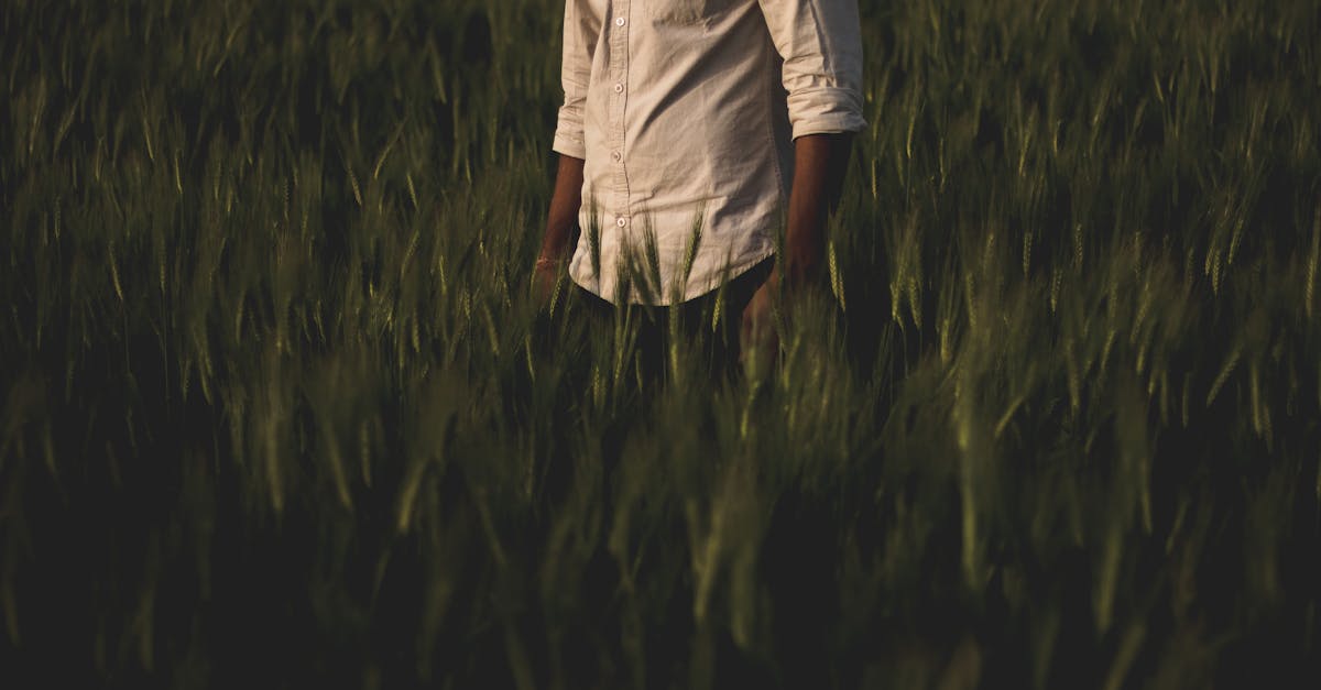 découvrez les plantes qui améliorent votre humeur : des options vertes et apaisantes pour transformer votre espace en un havre de sérénité. apprenez comment ces végétaux peuvent stimuler votre bien-être et apporter une touche de joie à votre quotidien.