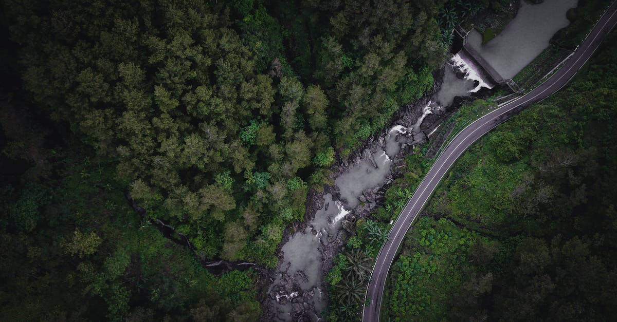découvrez les techniques de drainage pour assurer une gestion efficace des eaux, prévenir les inondations et améliorer la santé de vos sols. apprenez à choisir le meilleur système de drainage adapté à vos besoins.