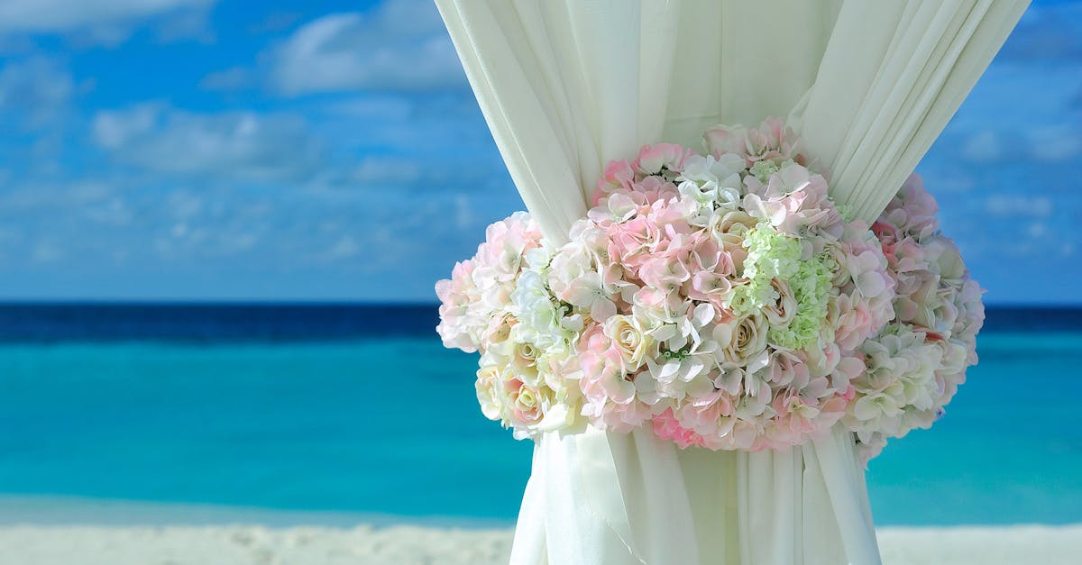 découvrez l'univers enchanteur des hydrangeas, ces magnifiques fleurs aux couleurs variées. apprenez à les cultiver et à les entretenir pour sublimer vos jardins et espaces extérieurs tout au long de l'année.