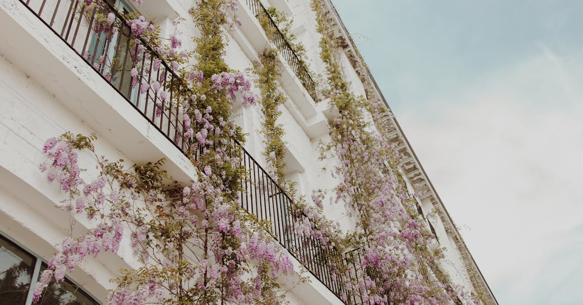 découvrez notre sélection de plantes d'extérieur peu exigeantes qui embelliront votre jardin sans nécessiter d'entretien intensif. parfaites pour les jardiniers débutants ou ceux cherchant à réduire leur charge de travail, ces options conviviales et résistantes s'épanouissent avec un minimum de soin.