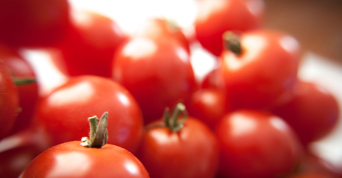 découvrez le monde fascinant des tomates : variétés, bienfaits nutritionnels et recettes savoureuses. apprenez à cultiver vos propres tomates pour savourer leur goût inégalé en été.