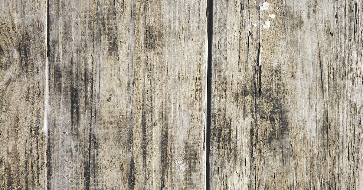 découvrez l'univers palpitant de bleach, une série animée captivante où ichigo kurosaki, un adolescent capable de voir des esprits, se transforme en shinigami pour protéger les vivants des créatures maléfiques. plongez dans un monde de combats épiques, d'amitiés éternelles et de mystères à résoudre.