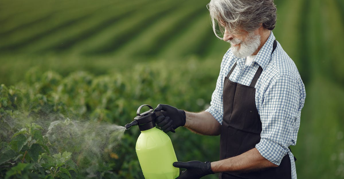 découvrez des pesticides écologiques qui protègent vos cultures tout en respectant l'environnement. optez pour des solutions durables pour un jardinage responsable et sans produits chimiques nocifs.