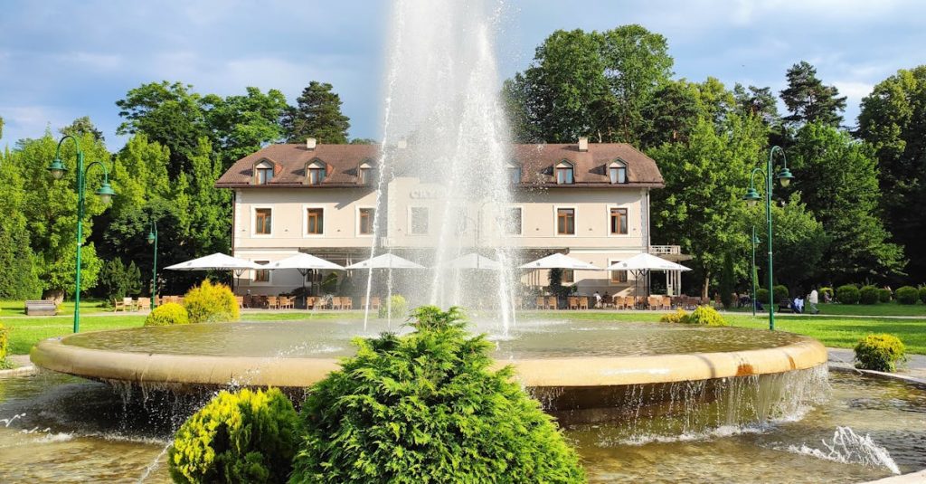 découvrez comment prendre soin de votre jardin avec nos conseils sur la santé des plantes, l'entretien du sol et les meilleures pratiques pour un jardin florissant. transformez votre espace vert en un havre de paix et de biodiversité.