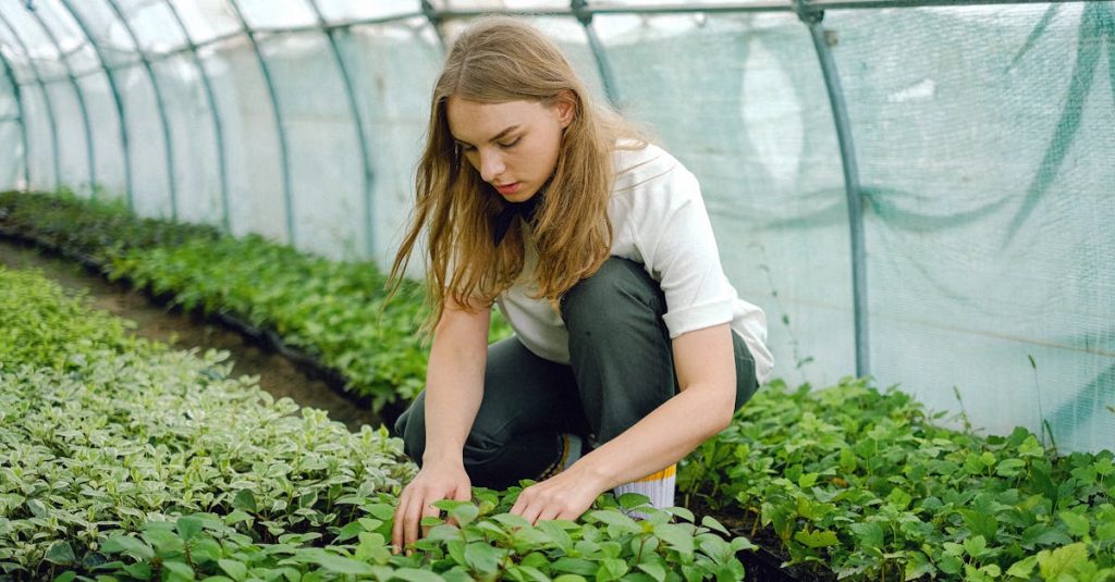 découvrez les principes de la permaculture, une méthode durable qui harmonise l'agriculture avec la nature. apprenez à cultiver votre propre jardin tout en préservant l'environnement et en favorisant la biodiversité.