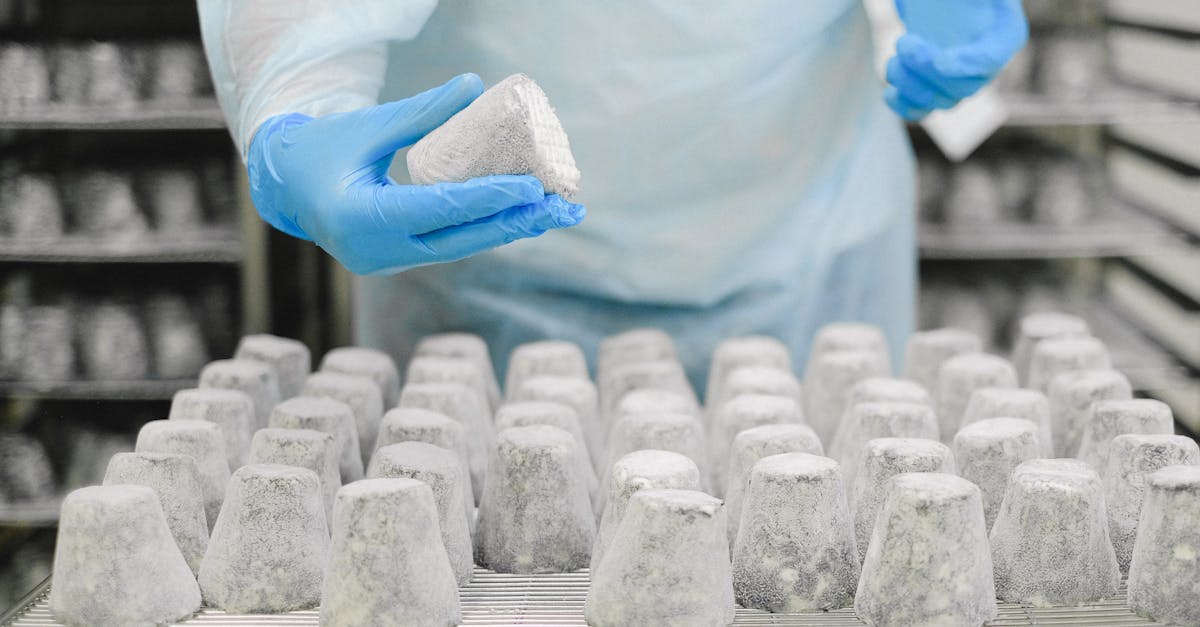 découvrez nos solutions efficaces pour l'élimination des moisissures. protégez votre santé et votre environnement grâce à nos techniques professionnelles de traitement et prévention des moisissures.