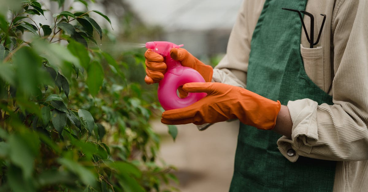 découvrez la permaculture, une méthode de culture durable qui vise à créer des écosystèmes agricoles en harmonie avec la nature. apprenez à concevoir des jardins productifs, respectueux de l'environnement et favorisant la biodiversité grâce à des techniques innovantes et des principes éthiques.